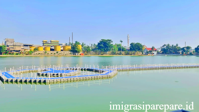Menyelami Keindahan dan Daya Tarik Situ Rawa Kalong
